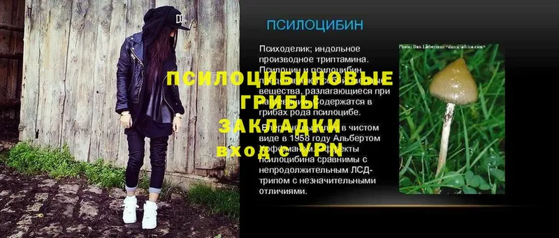 Галлюциногенные грибы ЛСД  Карпинск 